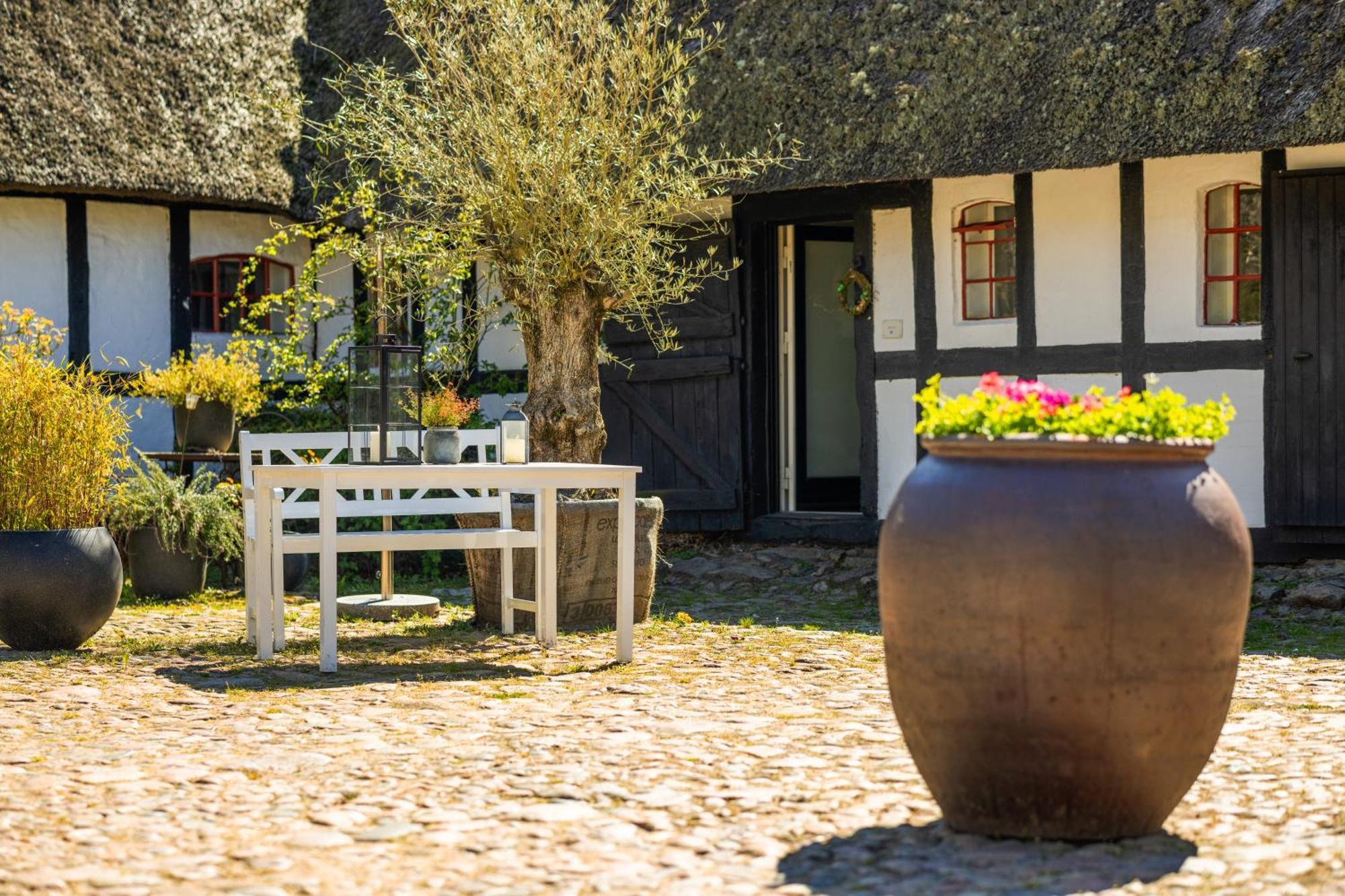 Solbjerggaard Bed & Breakfast Фоборг Екстер'єр фото